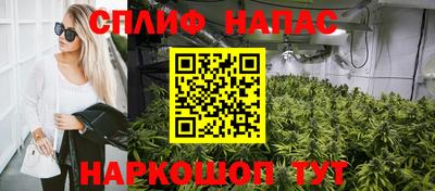 СК Малгобек