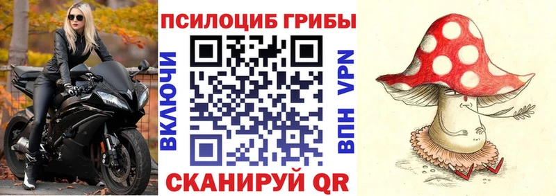 площадка телеграм  Иваново  Галлюциногенные грибы Cubensis  ОМГ ОМГ tor 